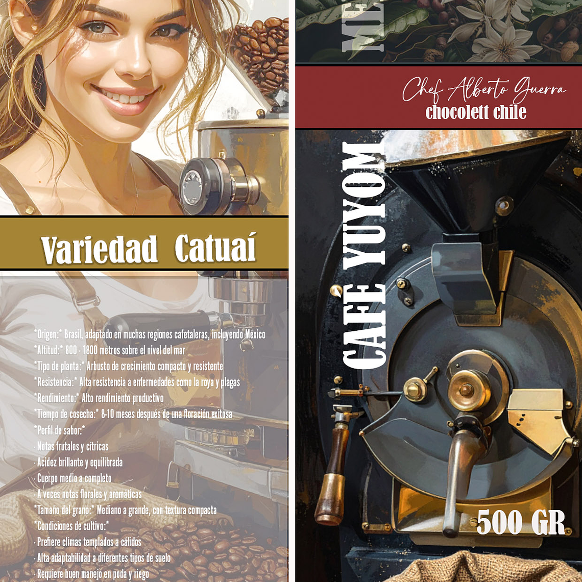 Café Yuyom  Bolsa de 500 gramos  2