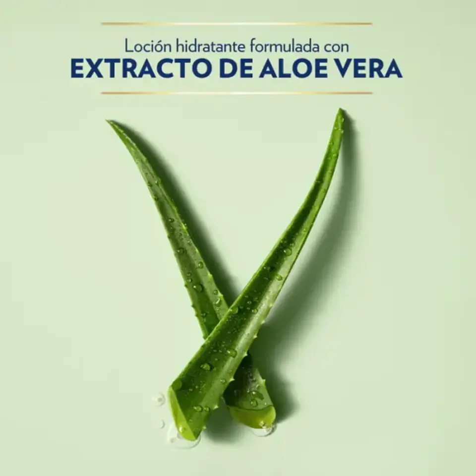 Intensive Care crema corporal Aloe Vera para piel seca 4