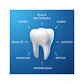 ORAL-B Pro-expert aliento fresco Pasta de dientes que protege contra la placa 75 ml - Miniatura 6