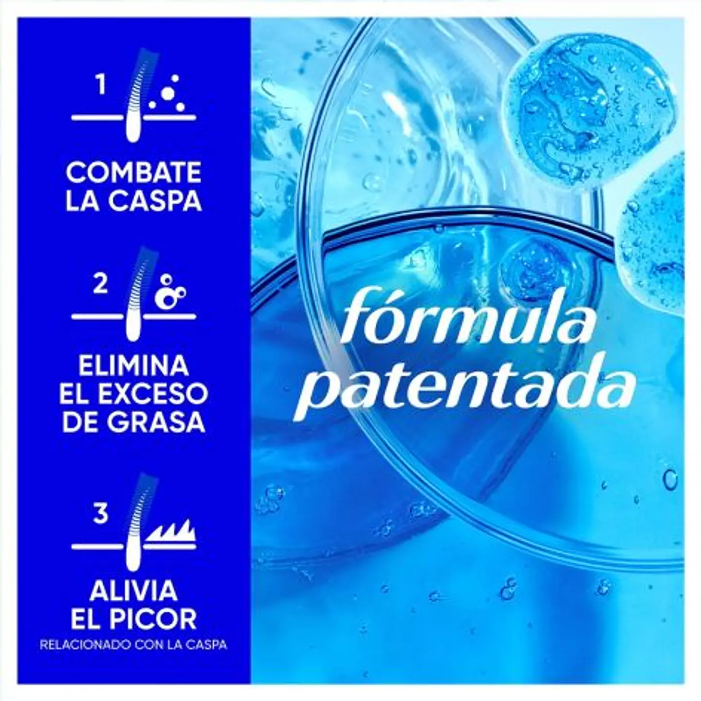 Citrus Fresh Champú Anticaspa 7