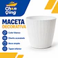 Macetera Decorativa - Miniatura 3