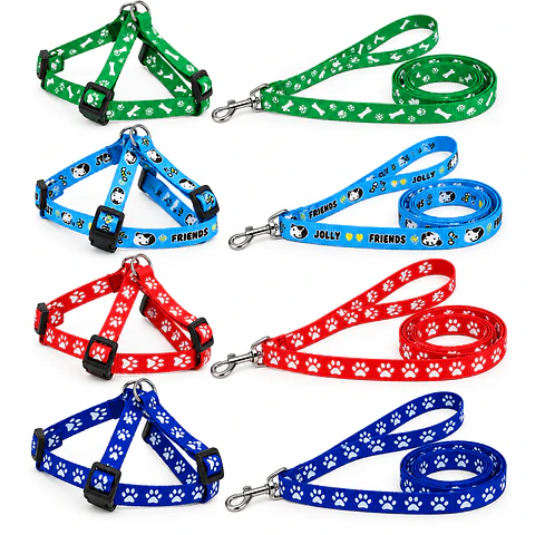 Correa Para Mascota + Arnes