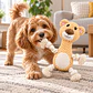 Juguete Para Mascota De Cuerda - Miniatura 2