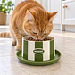 comedero elevado para mascotas (gatos y perros pequeños) - Miniatura 7