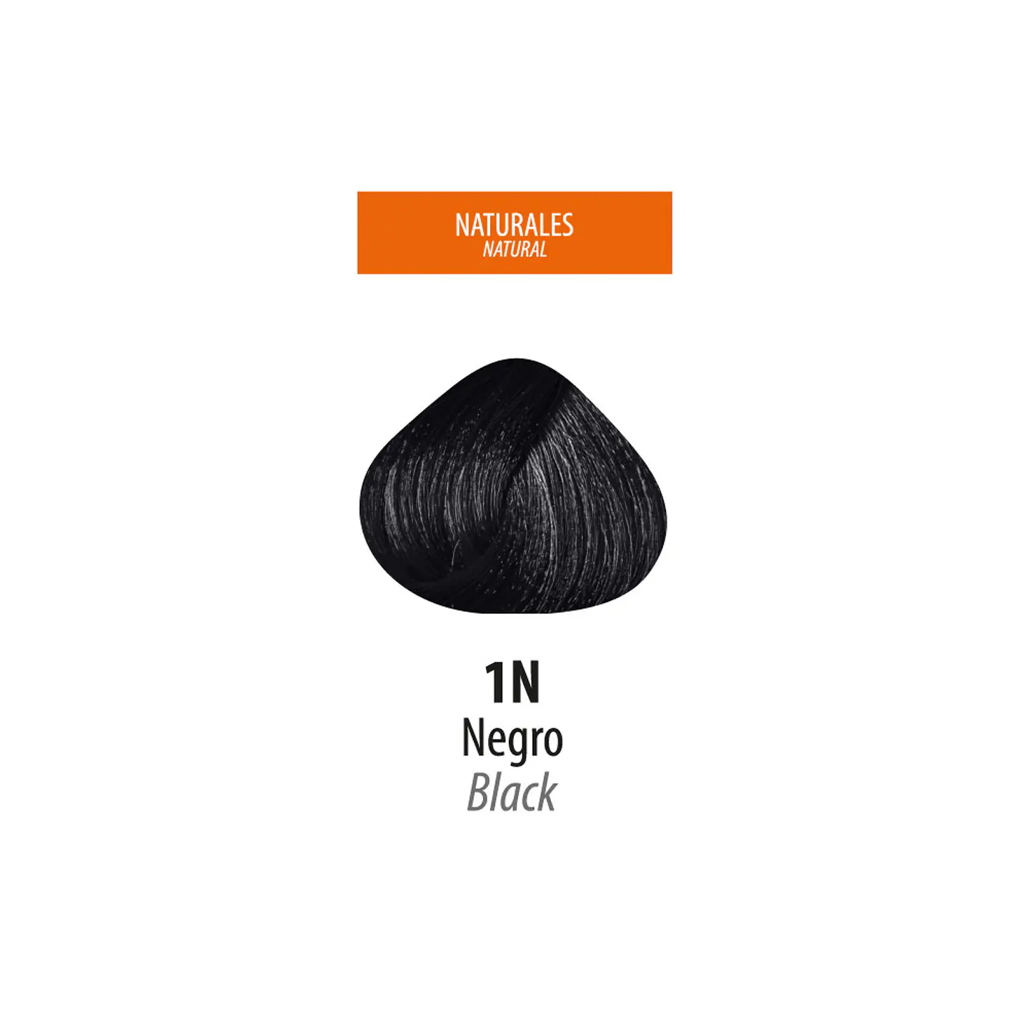 Tinte Lan Ten – Negro 1N (Sachet 50 g) 2