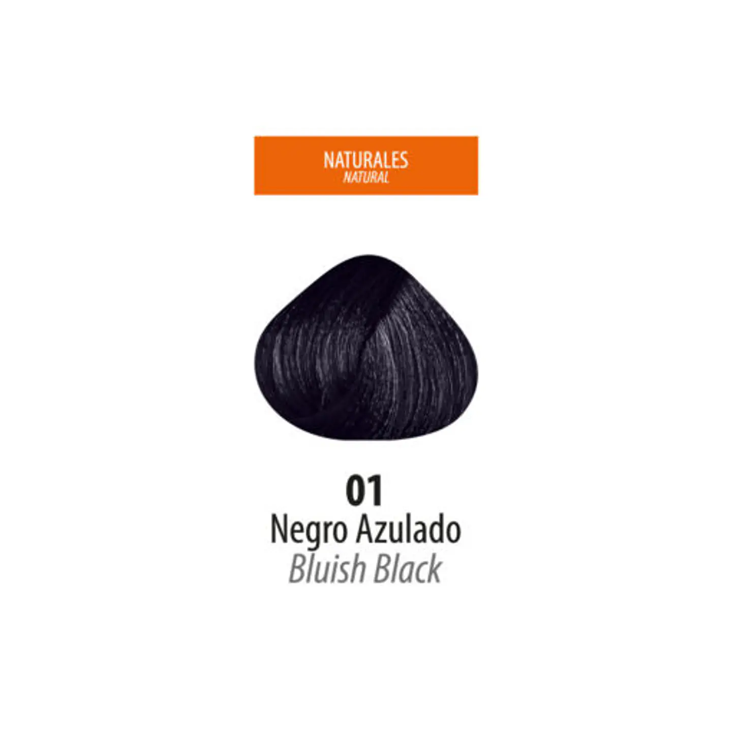 Tinte Lan Ten – Negro Azulado 01 (Sachet 50 g) 2