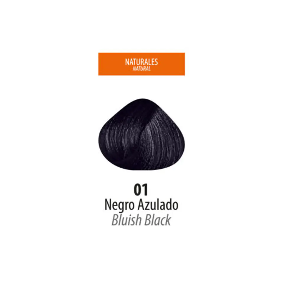 Tinte Lan Ten – Negro Azulado 01 (Sachet 50 g) 2