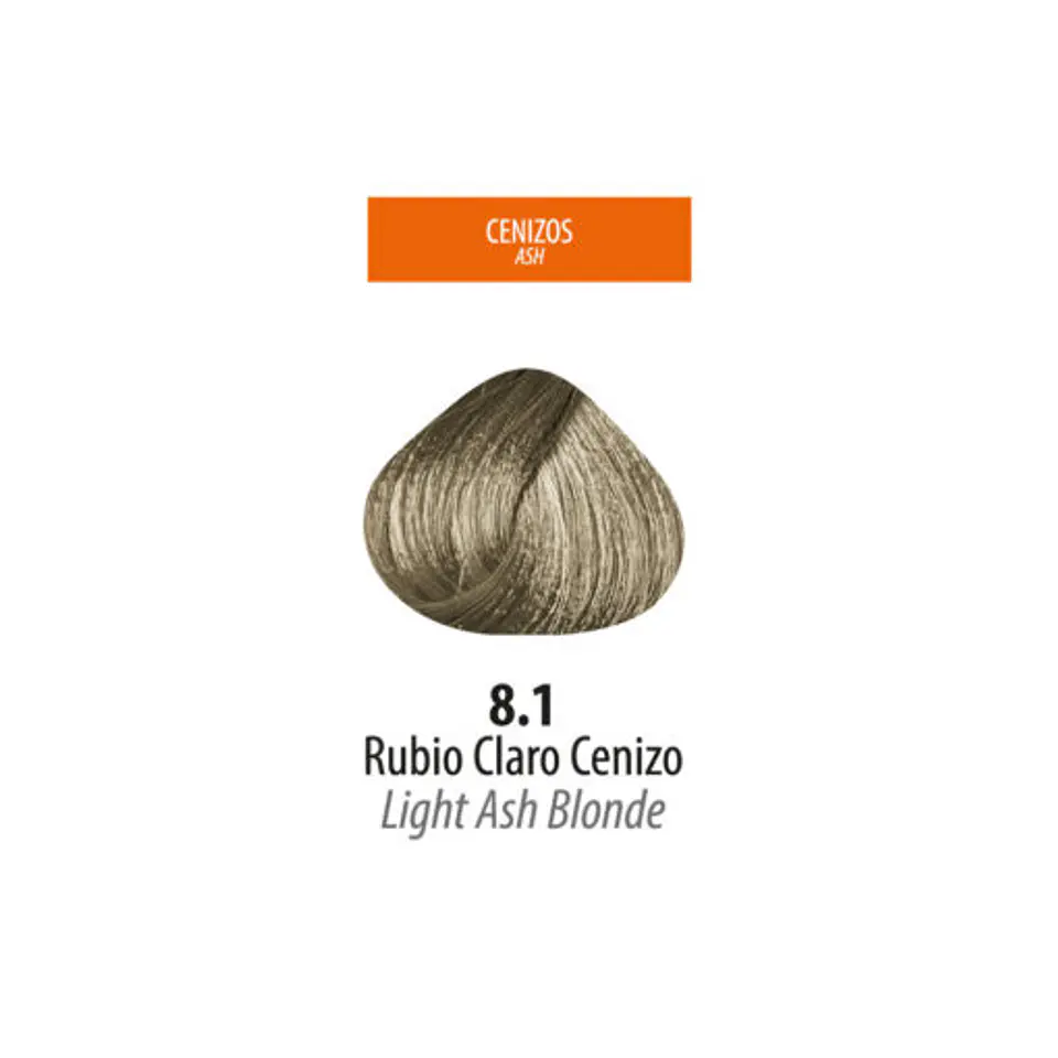 Tinte Lan Ten – Rubio Claro Cenizo 8.1 (Sachet 50 g) 2