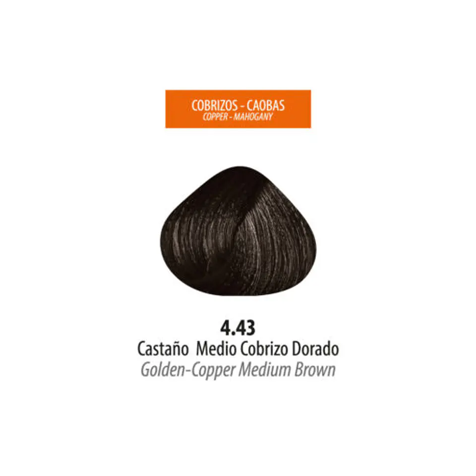 Tinte Lan Ten – Castaño Medio Cobrizo Dorado 4.43 (Sachet 50 g) 2