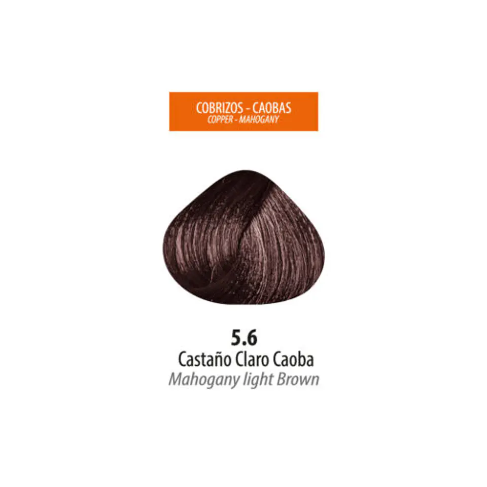 Tinte Lan Ten – Castaño Claro Caoba 5.6 (Sachet 50 g) 2
