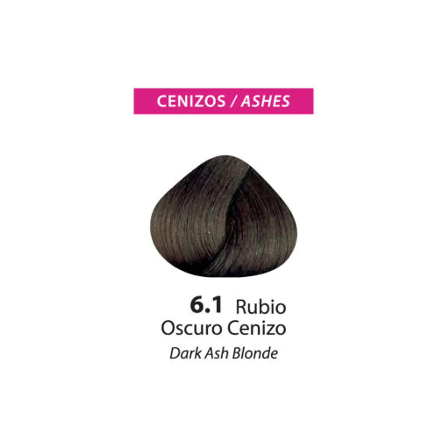 Tinte Color Flex – Rubio Oscuro Cenizo 6.1 (Sachet 50 g) 2