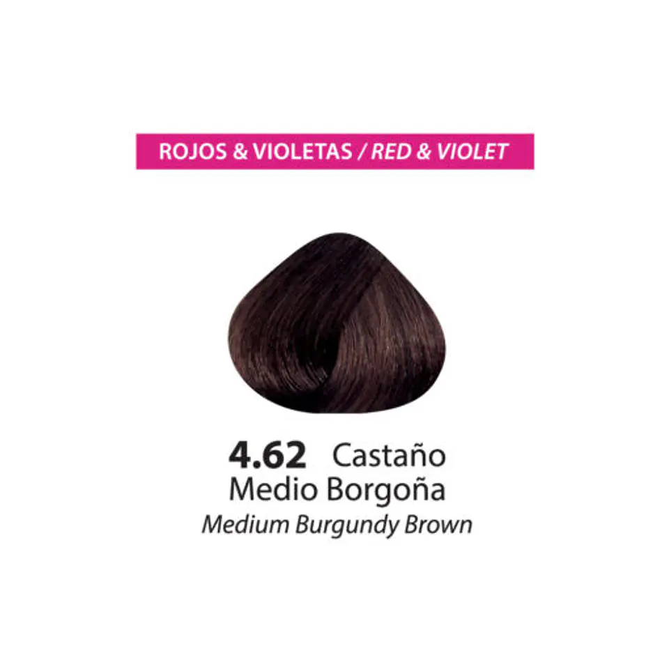 Tinte Color Flex – Castaño Medio Borgoña 4.62 (Sachet 50 g) 2