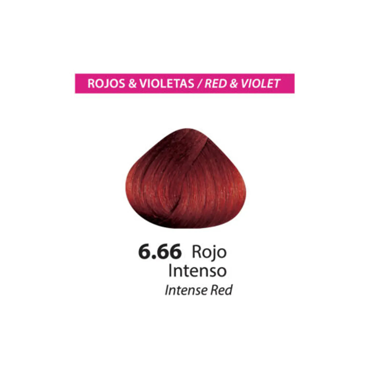 Tinte Color Flex – Rojo Intenso 6.66 (Sachet 50 g) 2