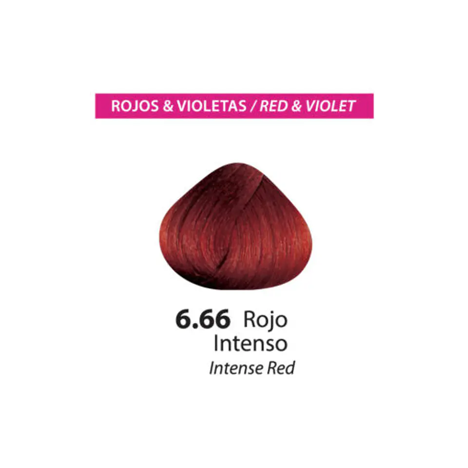 Tinte Color Flex – Rojo Intenso 6.66 (Sachet 50 g) 2