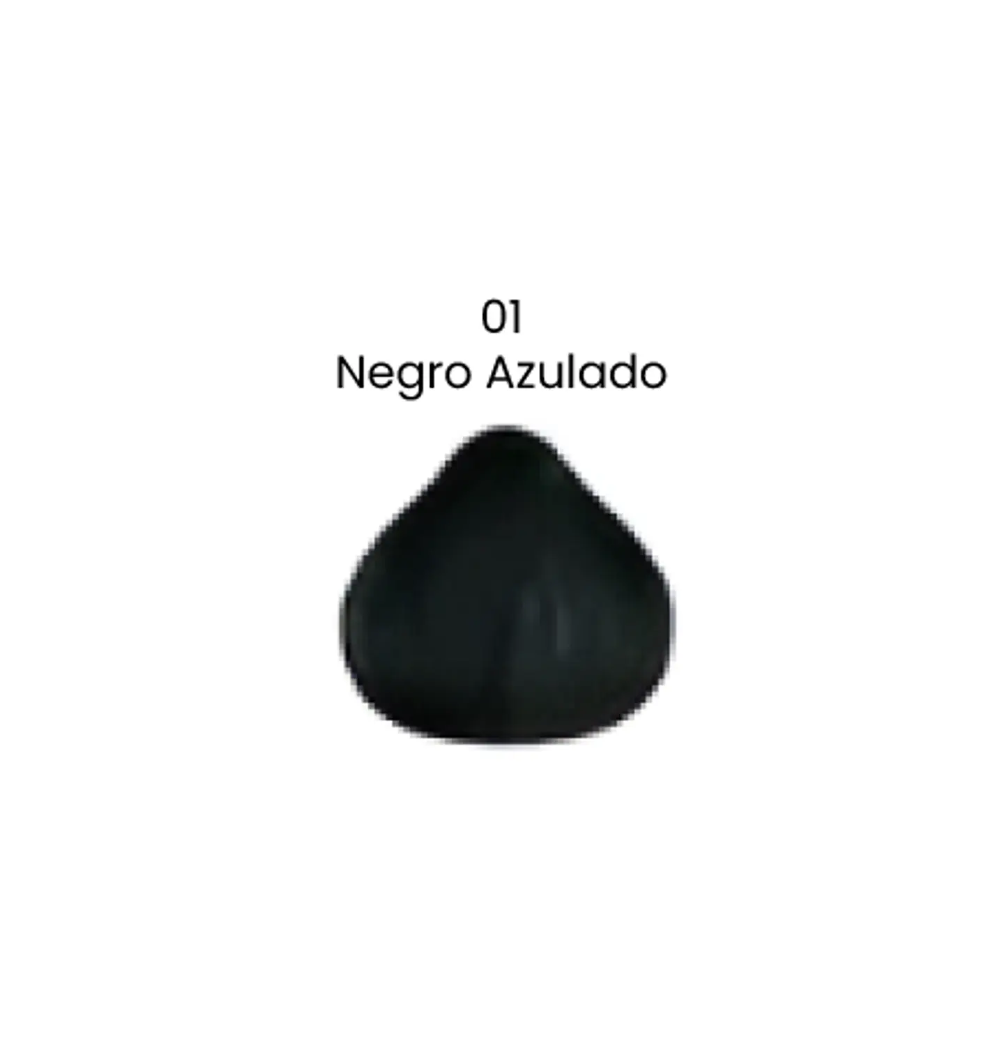 Tinte Smoll Negro Azulado 01 (sachet 50 gr) 1