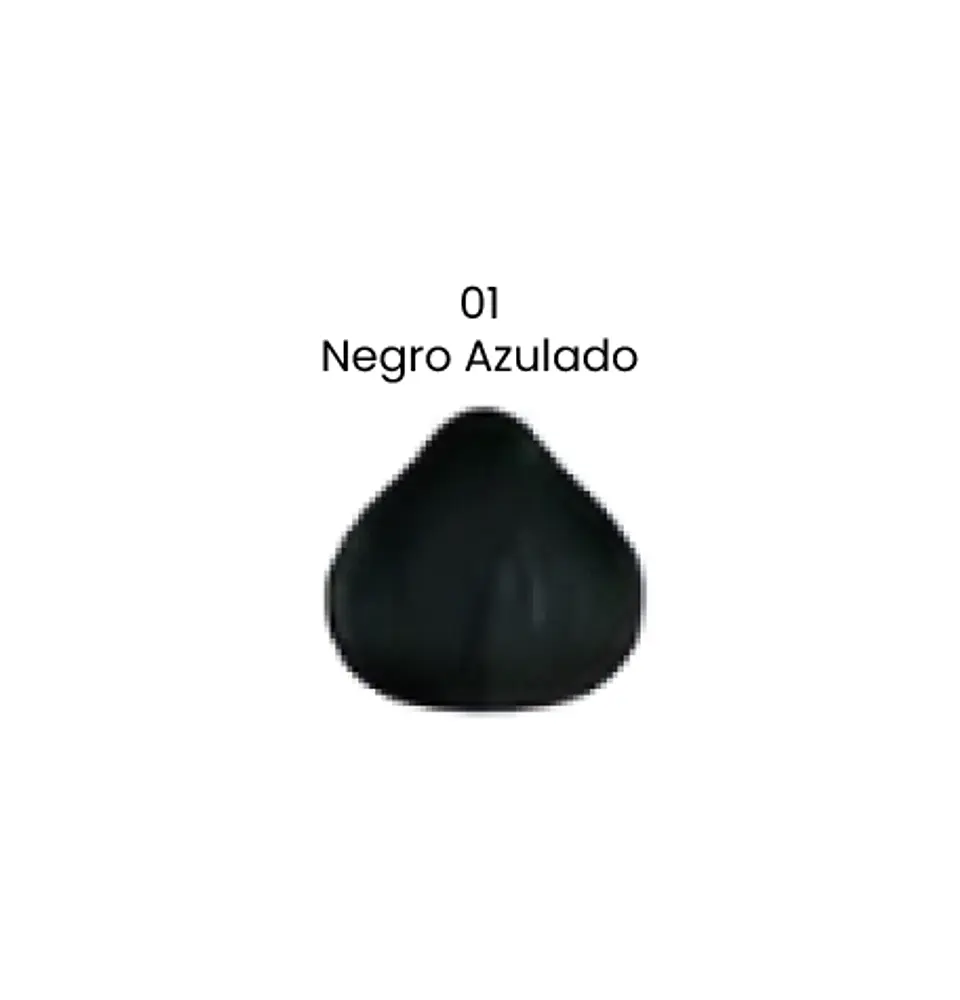 Tinte Smoll Negro Azulado 01 (sachet 50 gr) 1