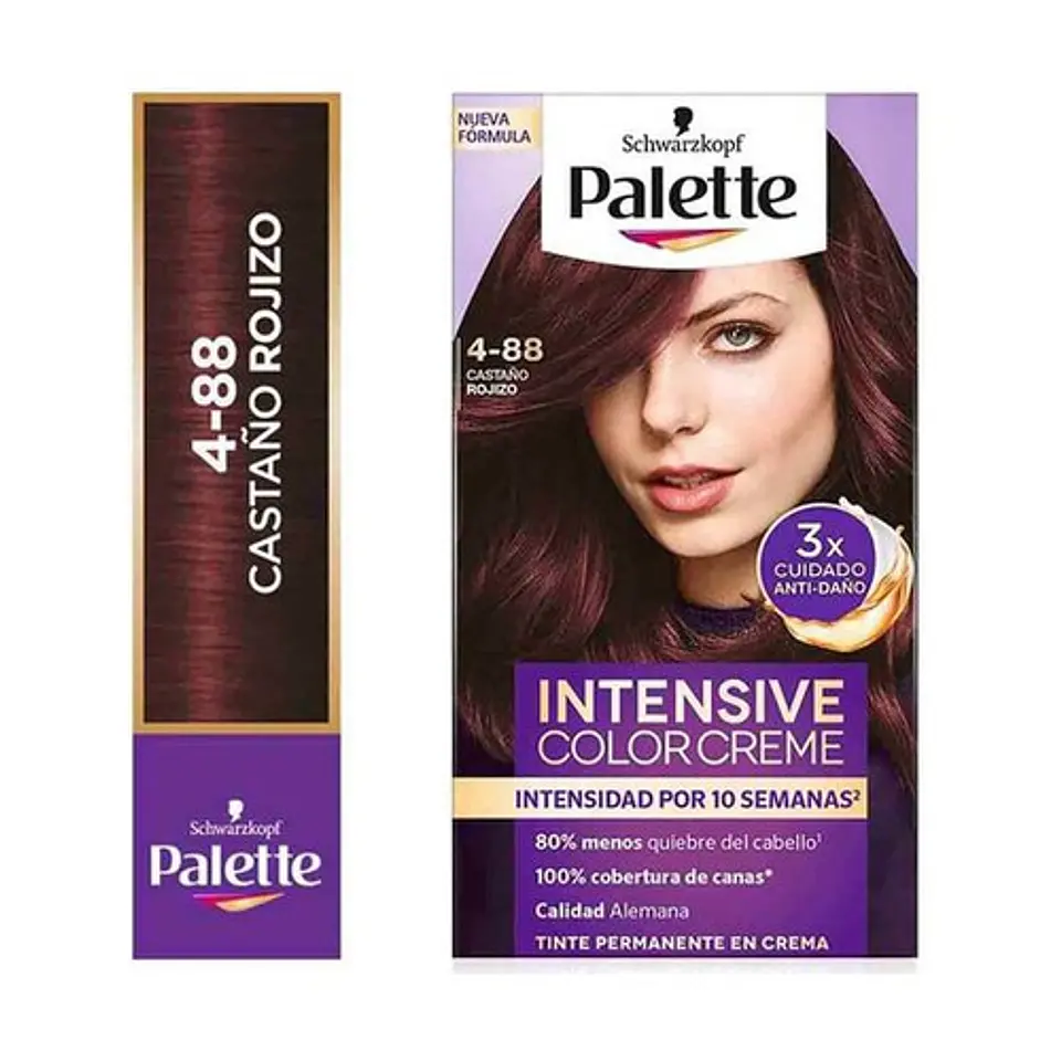 Kit tinte tubo + oxigenta 4-88 (50 ml) - Palette 1