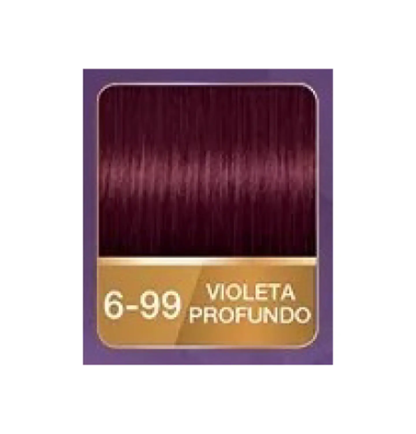 Kit tinte tubo + oxigenta 6-99 (50 ml) - Palette 2