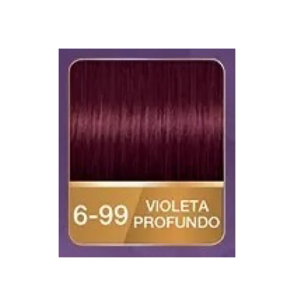 Kit tinte tubo + oxigenta 6-99 (50 ml) - Palette 2