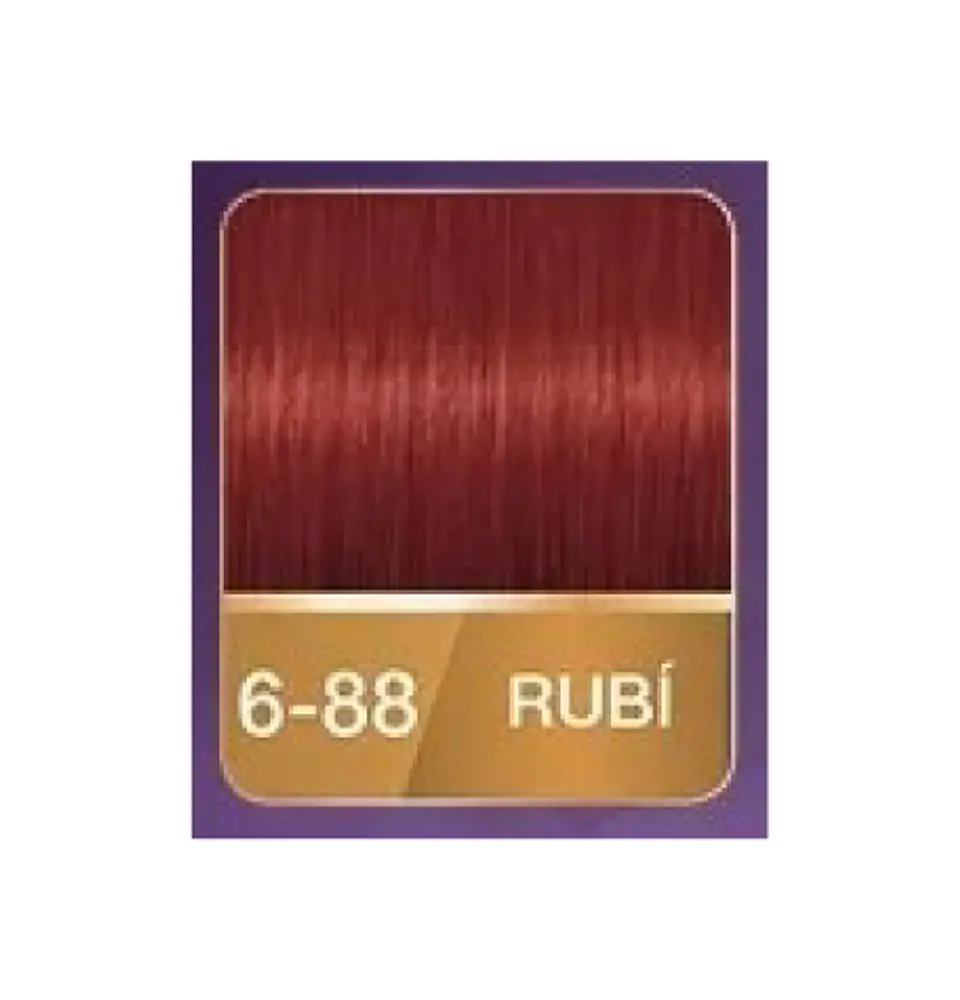 Kit tinte tubo + oxigenta 6-88 (50 ml) - Palette 2