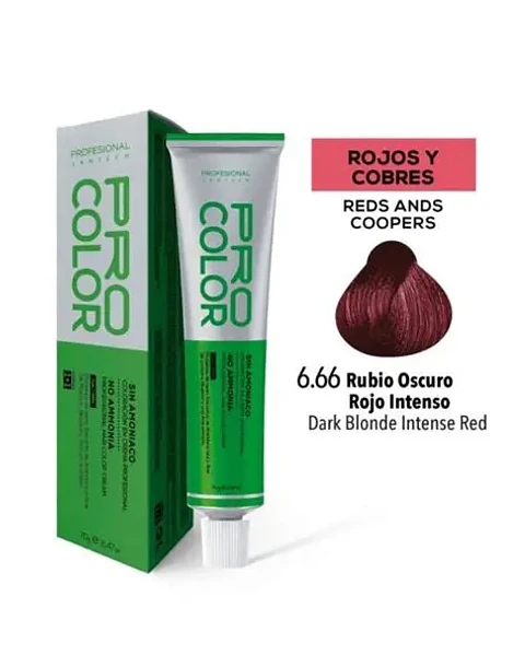 Tinte Pro color 6.66 X 70 gr