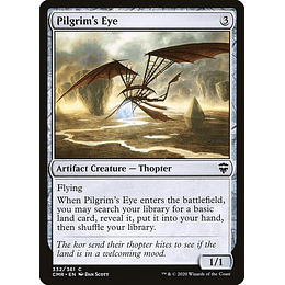 Pilgrim's Eye