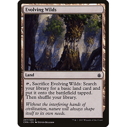 Evolving Wilds