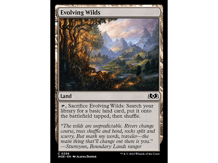 Evolving Wilds | EN | NM | WOE 1