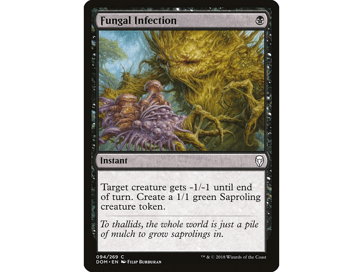 Fungal Infection | ES | NM | DOM 1
