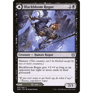 Blackbloom Rogue // Blackbloom Bog (foil) | EN | NM | ZNR
