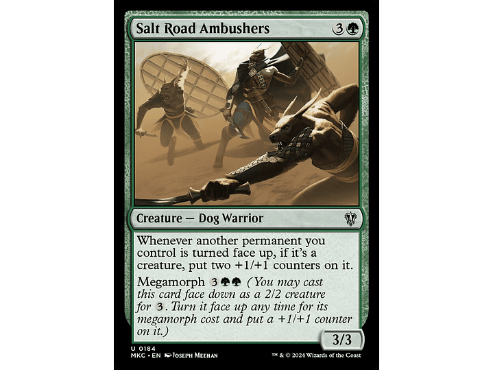 Salt Road Ambushers | EN | NM | MKC 1