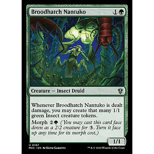 Broodhatch Nantuko | EN | NM | MKC