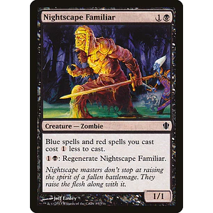 Nightscape Familiar | EN | NM | C13