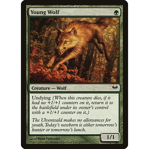 Young Wolf | EN | NM | DKA