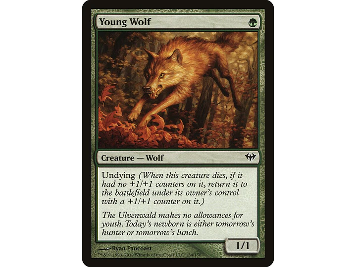 Young Wolf | EN | NM | DKA 1