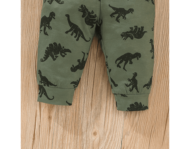 Sudadera con capucha y pantalones con estampado de dinosaurio para niño pequeño