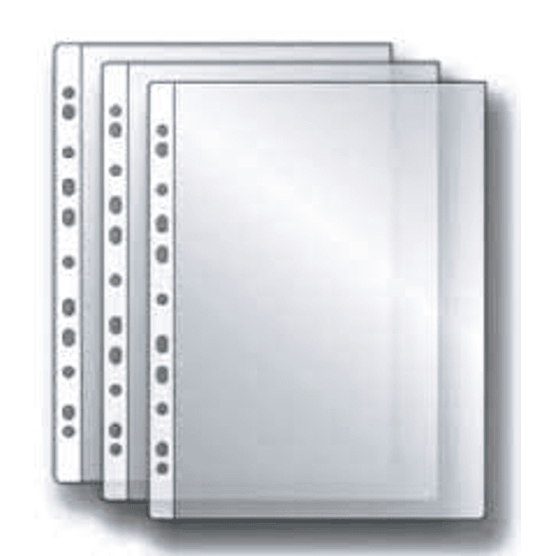 Bolsa catalogo A4 Roma 361 100 un. 