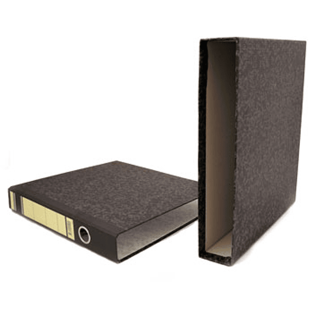 Pasta Arquivo+Cx Fixa L40 310x290 25un. ( quantidade consulte nos ) 