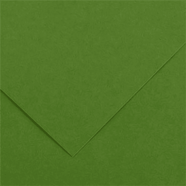 Cartolina 50x65 185g CANSON Verde Safari 25 fl. €0,49 