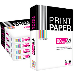 Papel  Fotocopia A4  80gr PrintSpot 5x500 Folhas