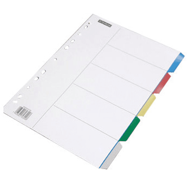 Separadores A4 Plastico 10 Cores Sortidas 2 un. 