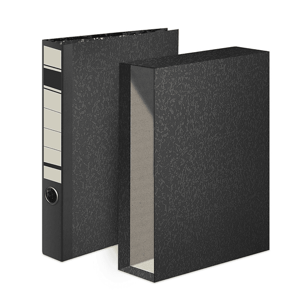 Pasta Arquivo+Cx Fixa L40 310x290 25un.  