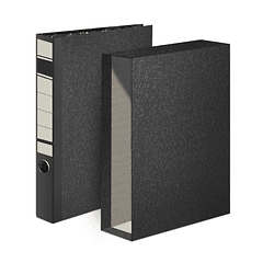 Pasta Arquivo+Cx Fixa L40 310x290 5un.( quantidade consulte nos )