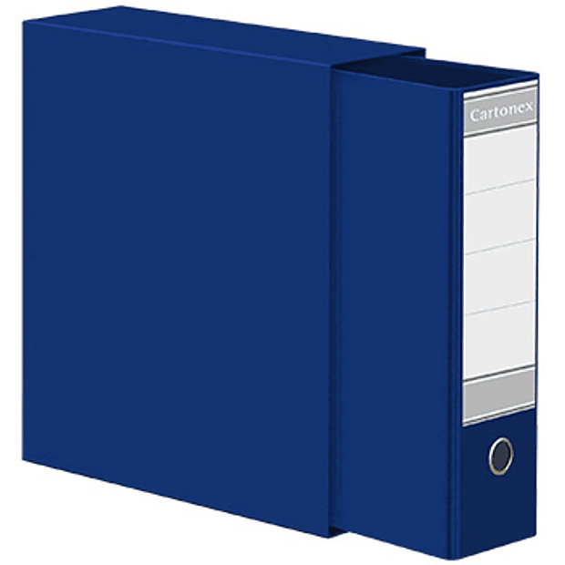 Pasta Arquivo+Cx Fixa L40 310x290 Ref 202CC Azul 