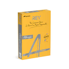 Papel A4 80gr Ouro/Damasco Intenso(cd60)  1x500fl.