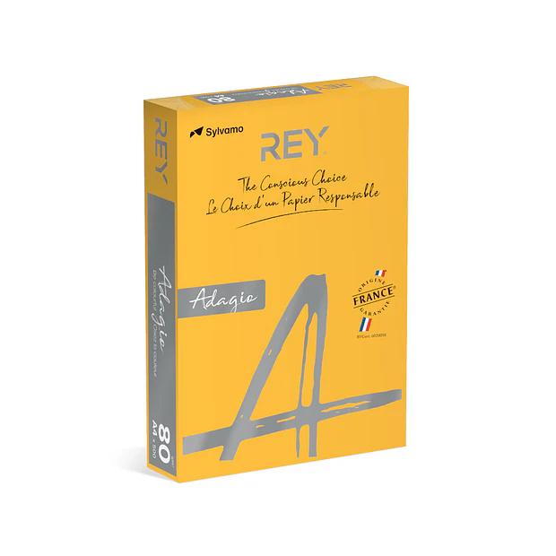 Papel A4 80gr Ouro/Damasco Intenso(cd60)  1x500fl. 