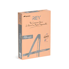Papel A4 80gr Salmao/Beje (cd91) 1x500Fls