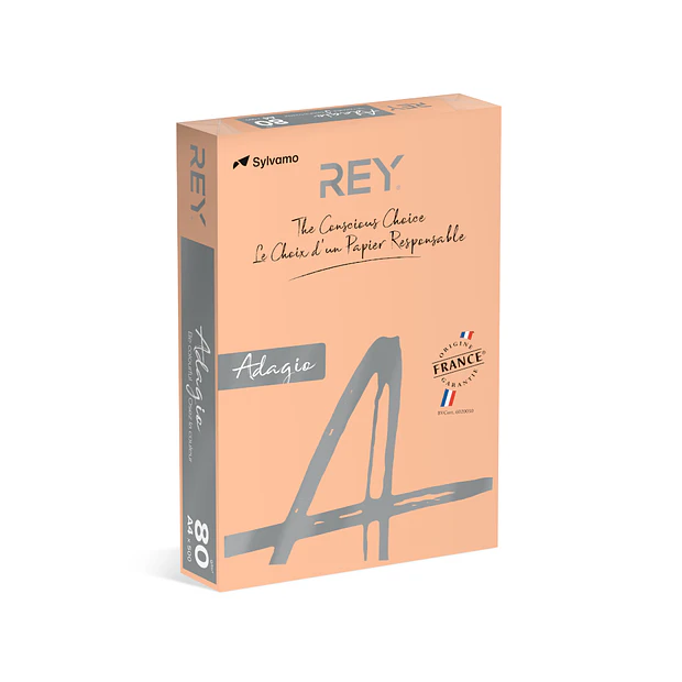 Papel A4 80gr Salmao/Beje (cd91) 1x500Fls 