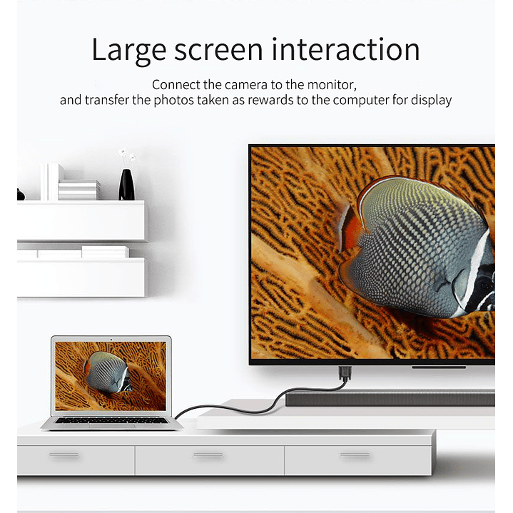 Adaptador VGA a HDMI con Audio y USB – VEGGIEG | 1080P Full HD 1.5 / 3 / 5 Metros 8