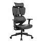 Silla Ergonómica SIHOO X5C Profesional | Ajuste Total 6D | Malla Premium | Oficina / Home Office / Garmer - Miniatura 3